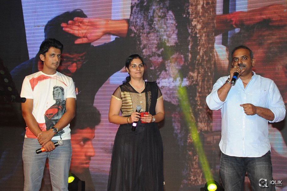 Hora-Hori-Movie-Audio-Launch